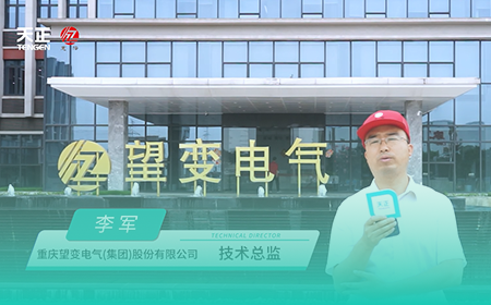 华体汇x望变电气